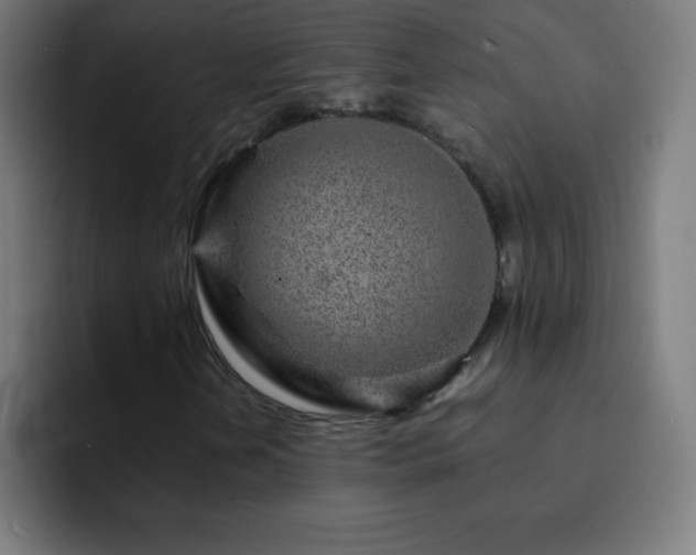 X0000093101202200710031823