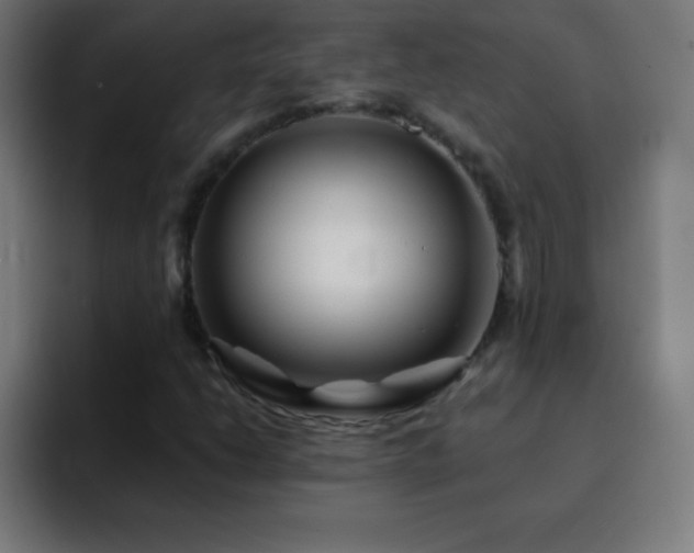 X0000093101206200710031824