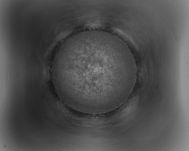 X0000093101207200710031824