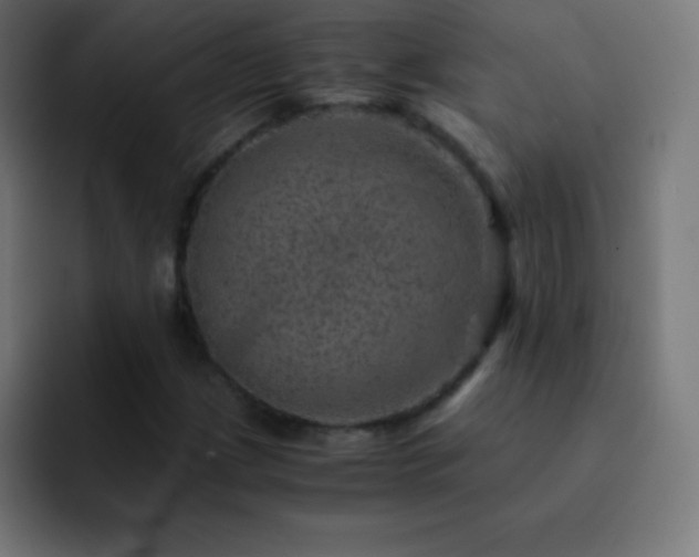 X0000093101209200710031824