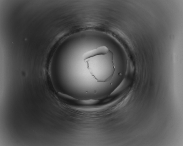 X0000093101210200710031824
