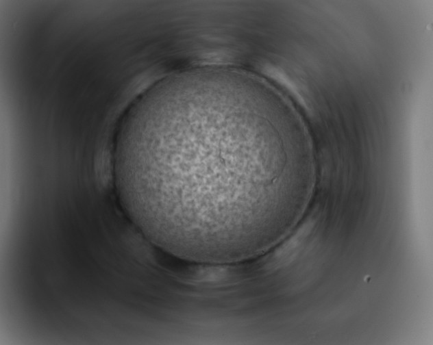 X0000093101211200710031824