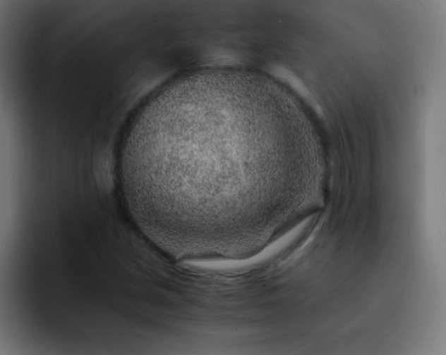 X0000093101213200710031824