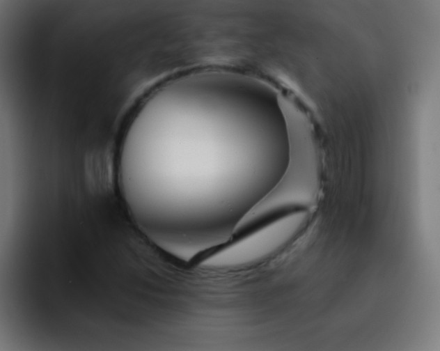 X0000093101214200710031824