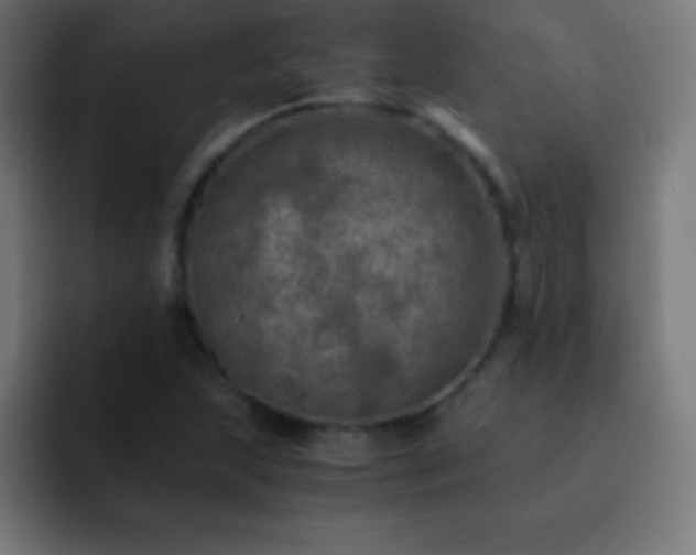 X0000093101215200710031824