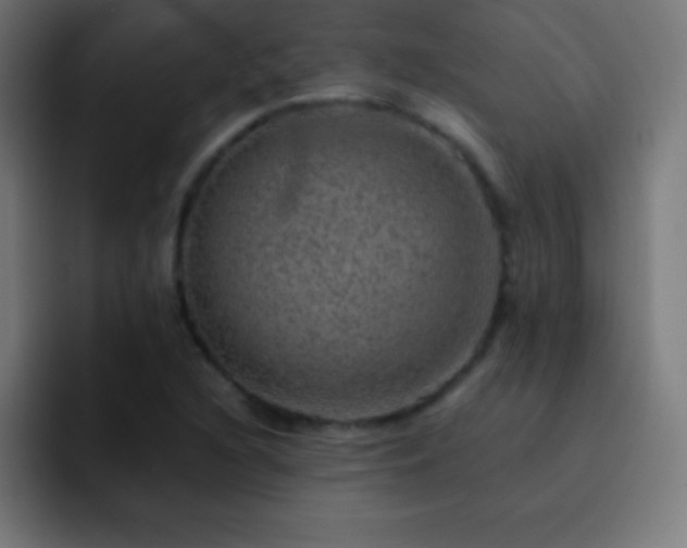 X0000093101216200710031824