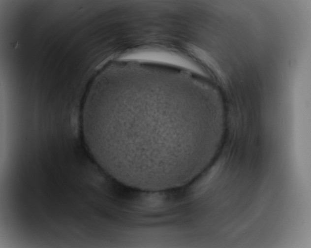 X0000093101217200710031824