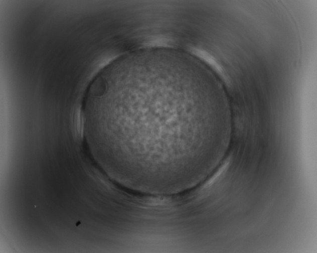 X0000093101219200710031824