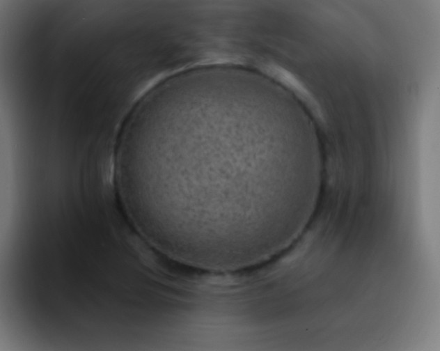 X0000093101220200710031824