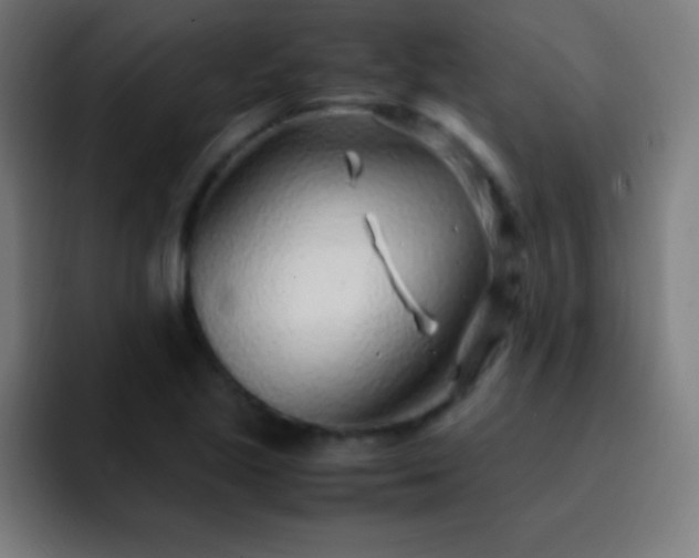 X0000093101221200710031824