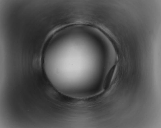 X0000093101222200710031824
