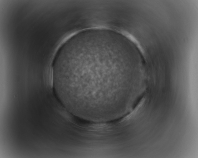 X0000093101223200710031824