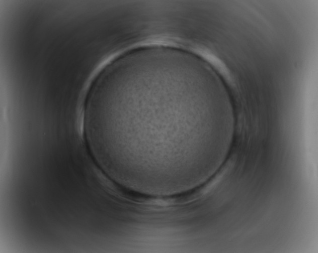 X0000093101224200710031824