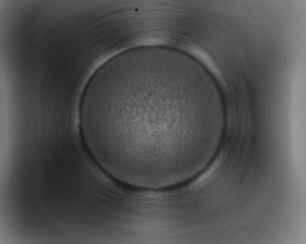 X0000093101226200710031824