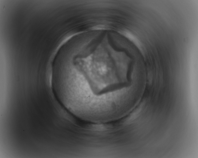X0000093101227200710031824