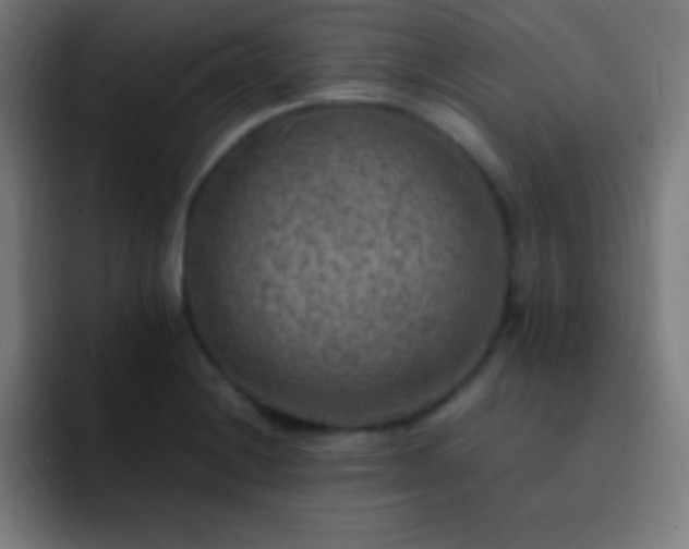 X0000093101228200710031824