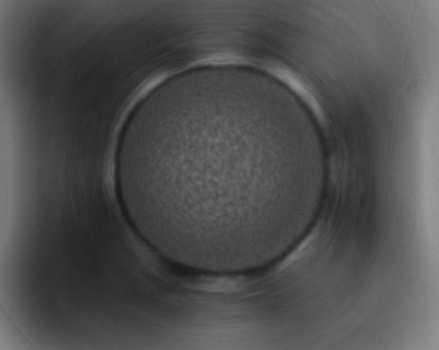 X0000093101229200710031824