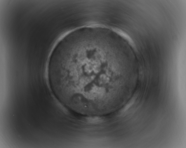 X0000093101231200710031824
