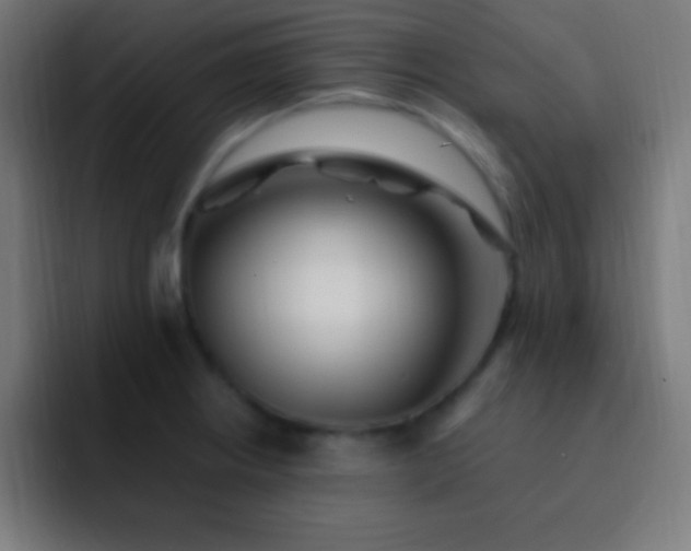 X0000093101234200710031824