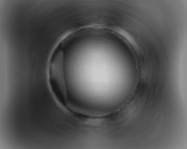 X0000093101237200710031824