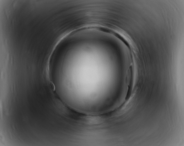 X0000093101242200710031824