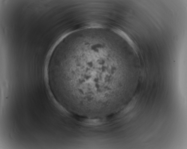 X0000093101243200710031824