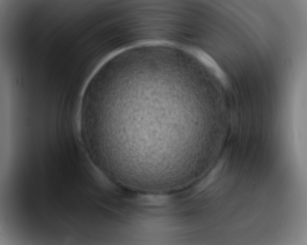 X0000093101244200710031824
