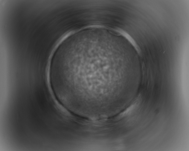 X0000093101245200710031824