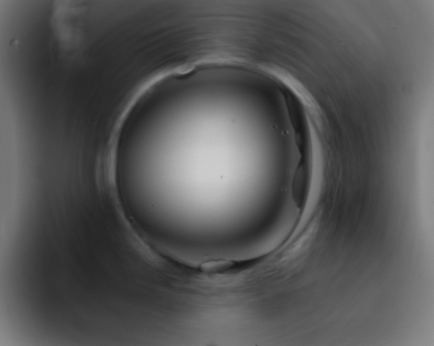 X0000093101246200710031824