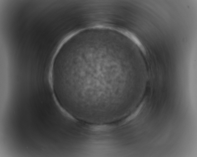 X0000093101247200710031824