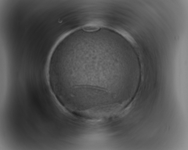 X0000093101248200710031824