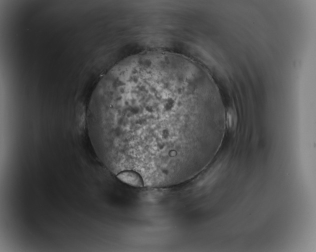 X0000093101251200710031823