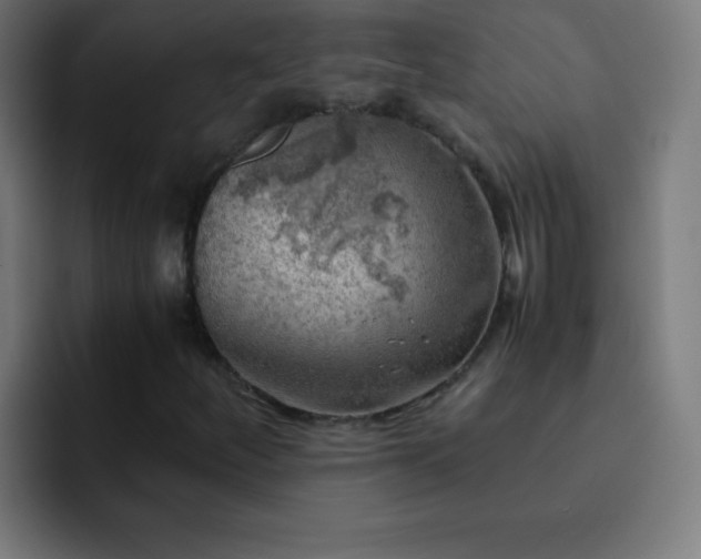 X0000093101252200710031823
