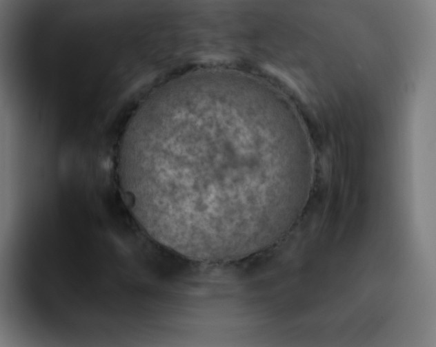X0000093101254200710031823