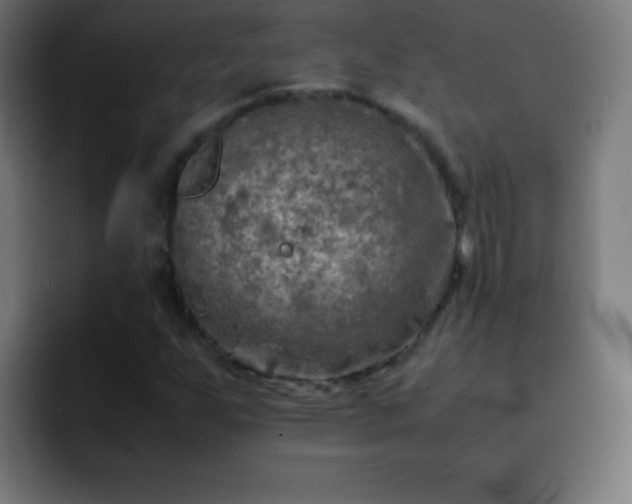 X0000093101255200710031823