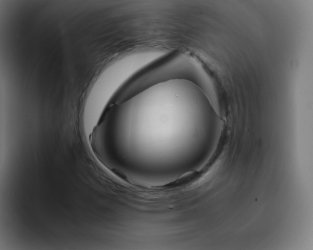 X0000093101257200710031823