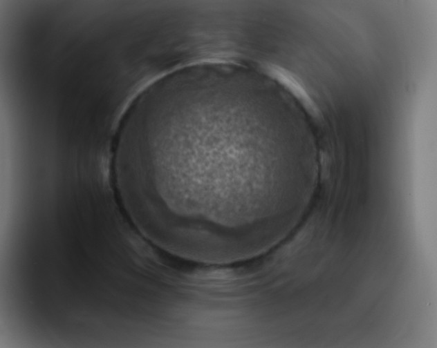 X0000093101260200710031823