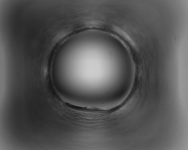 X0000093101261200710031823