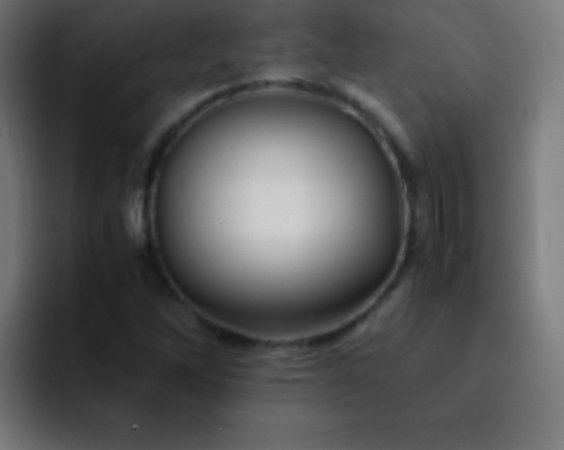 X0000093101262200710031823