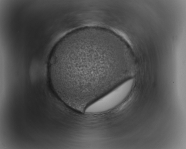 X0000093101263200710031823