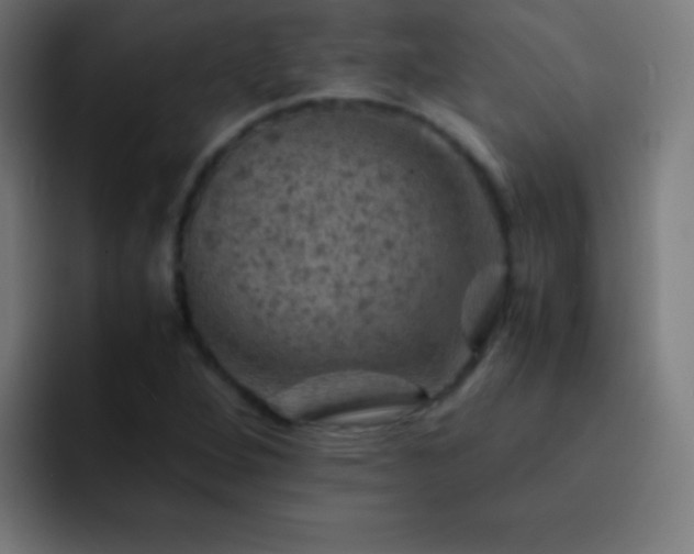 X0000093101264200710031823