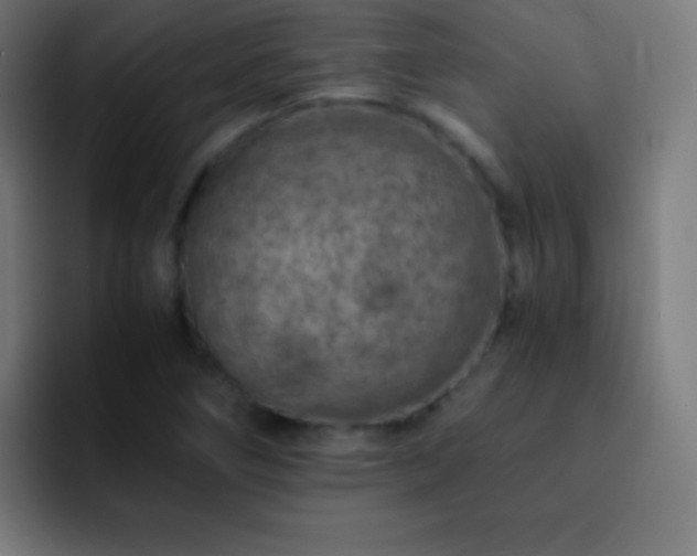 X0000093101266200710031823