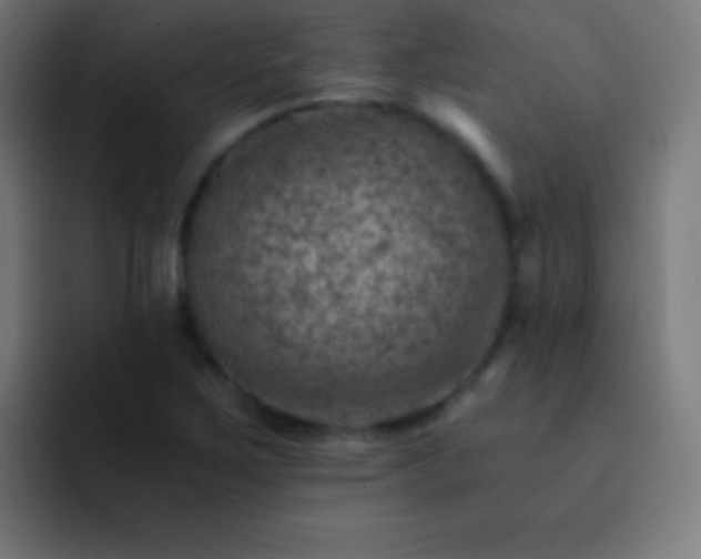 X0000093101267200710031823