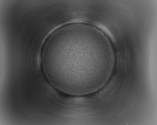 X0000093101268200710031823