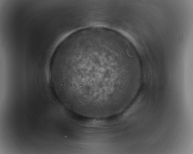 X0000093101271200710031823