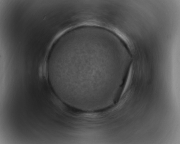 X0000093101272200710031823