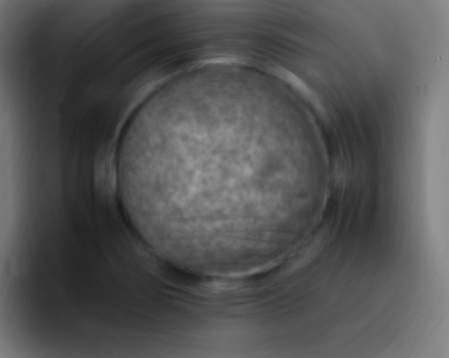X0000093101274200710031823