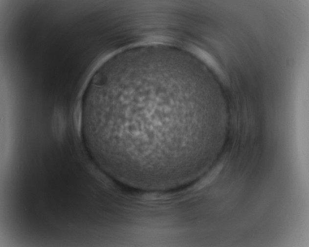 X0000093101275200710031823