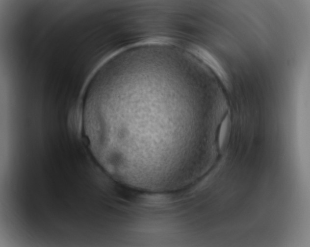 X0000093101276200710031823