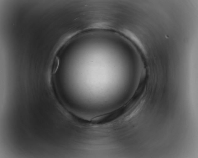 X0000093101277200710031823